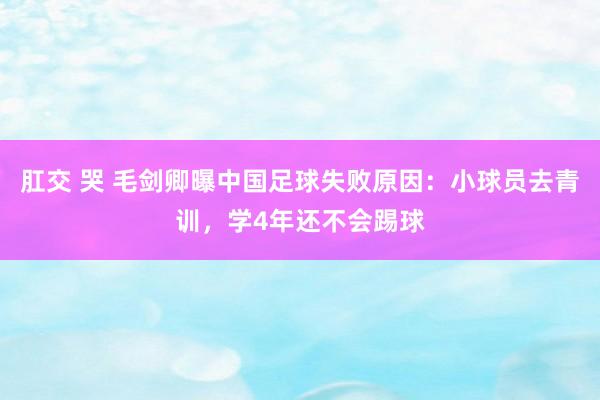 肛交 哭 毛剑卿曝中国足球失败原因：小球员去青训，学4年还不会踢球