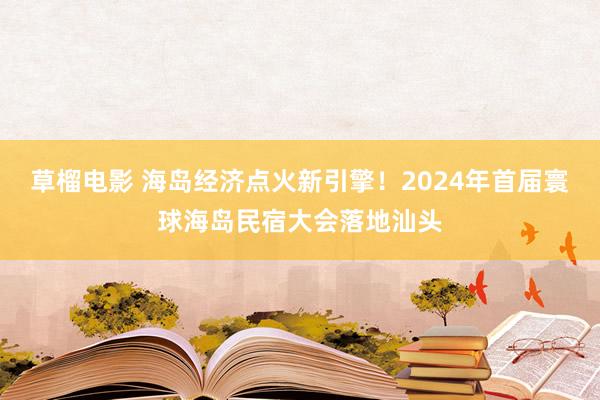 草榴电影 海岛经济点火新引擎！2024年首届寰球海岛民宿大会落地汕头