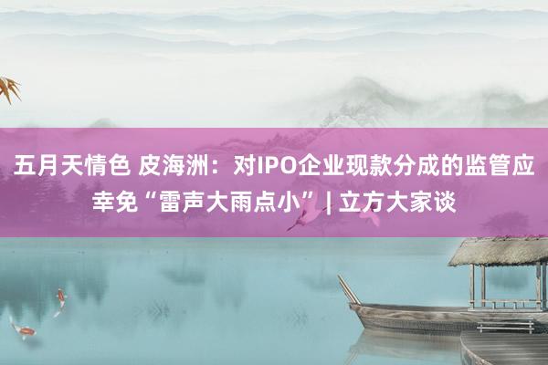 五月天情色 皮海洲：对IPO企业现款分成的监管应幸免“雷声大雨点小” | 立方大家谈