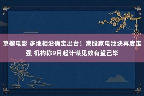 草榴电影 多地相沿确定出台！港股家电池块再度走强 机构称9月起计谋见效有望已毕