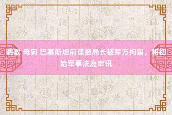 调教 母狗 巴基斯坦前谍报局长被军方拘留，将初始军事法庭审讯