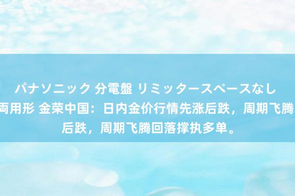 パナソニック 分電盤 リミッタースペースなし 露出・半埋込両用形 金荣中国：日内金价行情先涨后跌，周期飞腾回落撑执多单。