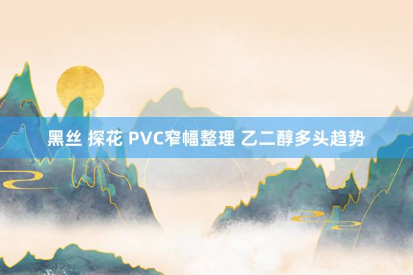 黑丝 探花 PVC窄幅整理 乙二醇多头趋势