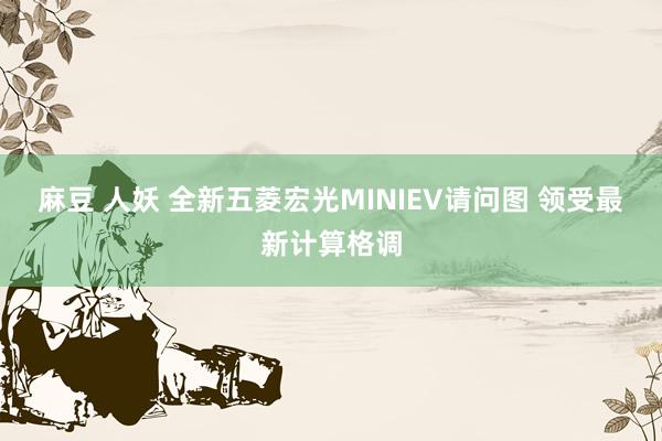 麻豆 人妖 全新五菱宏光MINIEV请问图 领受最新计算格调