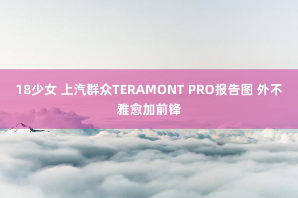 18少女 上汽群众TERAMONT PRO报告图 外不雅愈加前锋