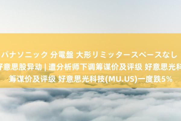 パナソニック 分電盤 大形リミッタースペースなし 露出・半埋込両用形 好意思股异动 | 遭分析师下调筹谋价及评级 好意思光科技(MU.US)一度跌5%