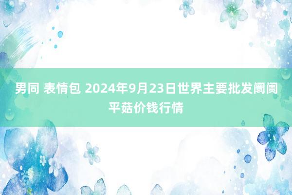 男同 表情包 2024年9月23日世界主要批发阛阓平菇价钱行情