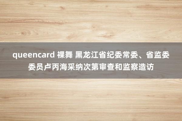 queencard 裸舞 黑龙江省纪委常委、省监委委员卢丙海采纳次第审查和监察造访