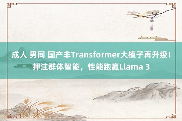 成人 男同 国产非Transformer大模子再升级！押注群体智能，性能跑赢Llama 3