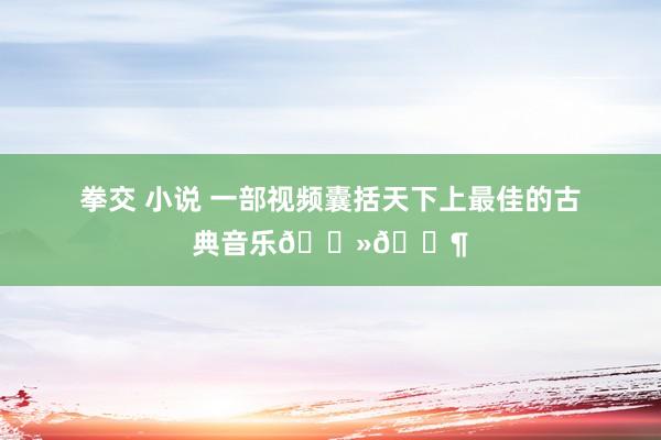 拳交 小说 一部视频囊括天下上最佳的古典音乐🎻🎶