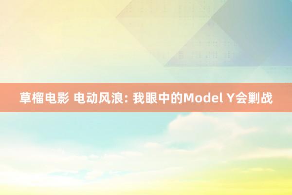 草榴电影 电动风浪: 我眼中的Model Y会剿战