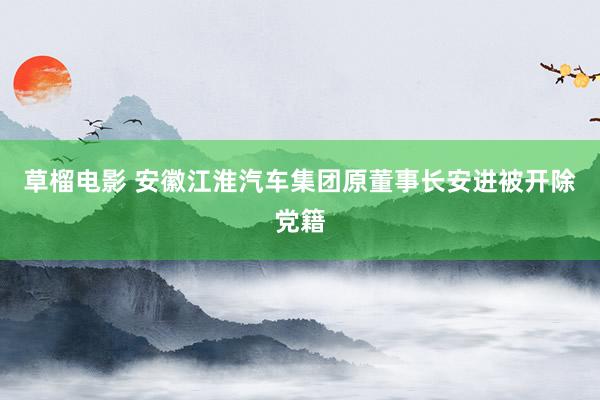 草榴电影 安徽江淮汽车集团原董事长安进被开除党籍