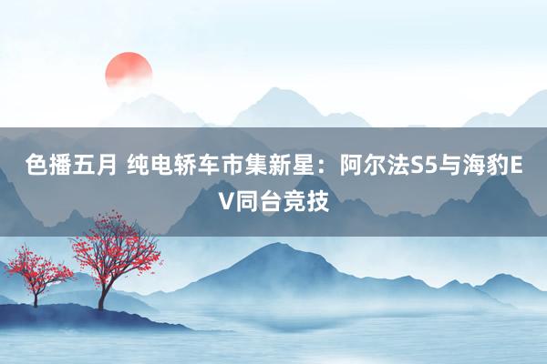 色播五月 纯电轿车市集新星：阿尔法S5与海豹EV同台竞技