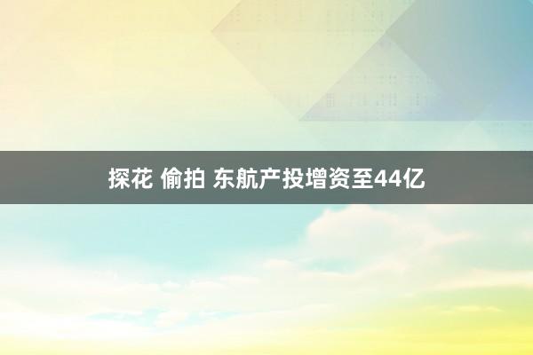 探花 偷拍 东航产投增资至44亿