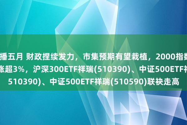 色播五月 财政捏续发力，市集预期有望栽植，2000指数ETF(159521)盘中涨超3%，沪深300ETF祥瑞(510390)、中证500ETF祥瑞(510590)联袂走高