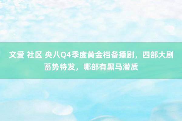 文爱 社区 央八Q4季度黄金档备播剧，四部大剧蓄势待发，哪部有黑马潜质