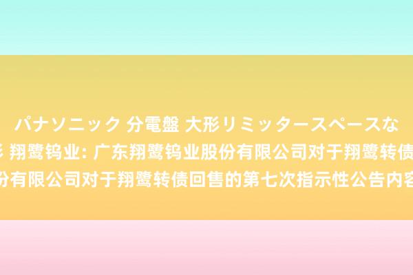 パナソニック 分電盤 大形リミッタースペースなし 露出・半埋込両用形 翔鹭钨业: 广东翔鹭钨业股份有限公司对于翔鹭转债回售的第七次指示性公告内容节录