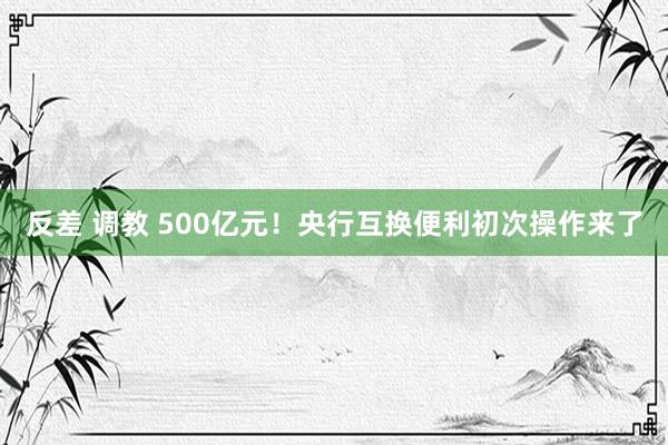 反差 调教 500亿元！央行互换便利初次操作来了