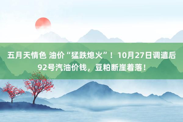 五月天情色 油价“猛跌熄火”！10月27日调遣后92号汽油价钱，豆粕断崖着落！