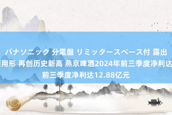 パナソニック 分電盤 リミッタースペース付 露出・半埋込両用形 再创历史新高 燕京啤酒2024年前三季度净利达12.88亿元