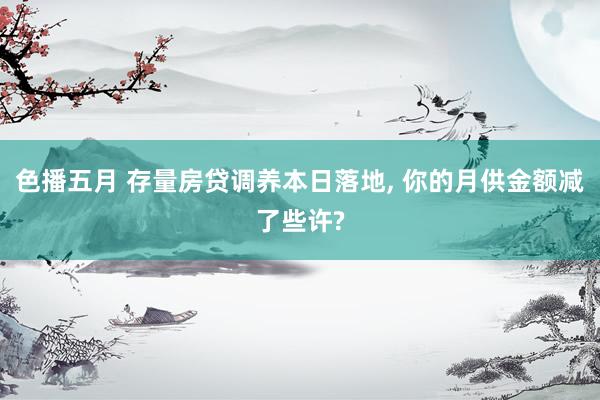 色播五月 存量房贷调养本日落地， 你的月供金额减了些许?