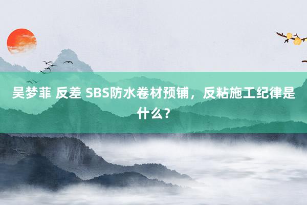 吴梦菲 反差 SBS防水卷材预铺，反粘施工纪律是什么？