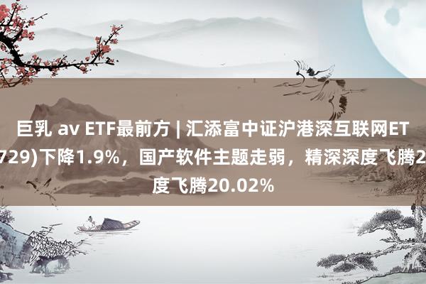 巨乳 av ETF最前方 | 汇添富中证沪港深互联网ETF(159729)下降1.9%，国产软件主题走弱，精深深度飞腾20.02%