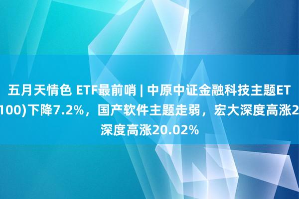 五月天情色 ETF最前哨 | 中原中证金融科技主题ETF(516100)下降7.2%，国产软件主题走弱，宏大深度高涨20.02%