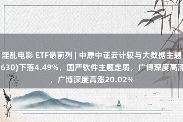 淫乱电影 ETF最前列 | 中原中证云计较与大数据主题ETF(516630)下落4.49%，国产软件主题走弱，广博深度高涨20.02%