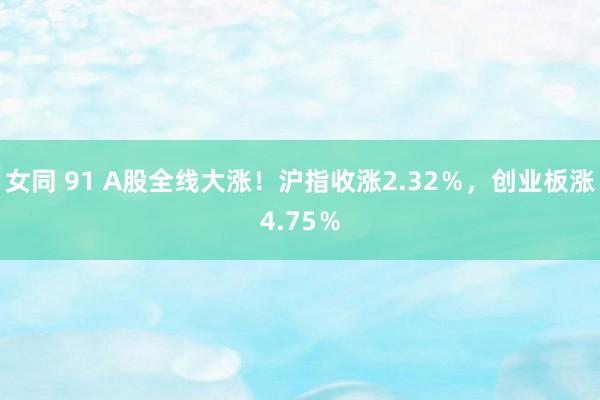 女同 91 A股全线大涨！沪指收涨2.32％，创业板涨4.75％