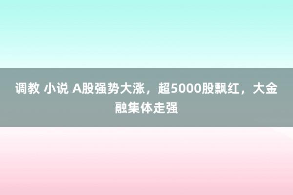 调教 小说 A股强势大涨，超5000股飘红，大金融集体走强