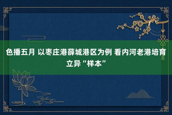 色播五月 以枣庄港薛城港区为例 看内河老港培育立异“样本”