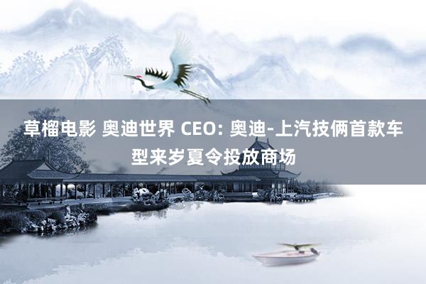 草榴电影 奥迪世界 CEO: 奥迪-上汽技俩首款车型来岁夏令投放商场