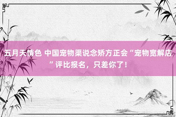 五月天情色 中国宠物渠说念矫方正会“宠物宽解店”评比报名，只差你了！