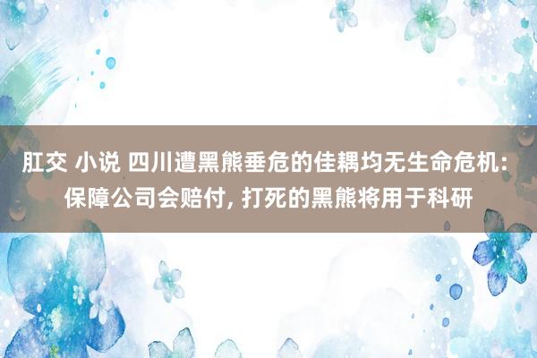 肛交 小说 四川遭黑熊垂危的佳耦均无生命危机: 保障公司会赔付， 打死的黑熊将用于科研