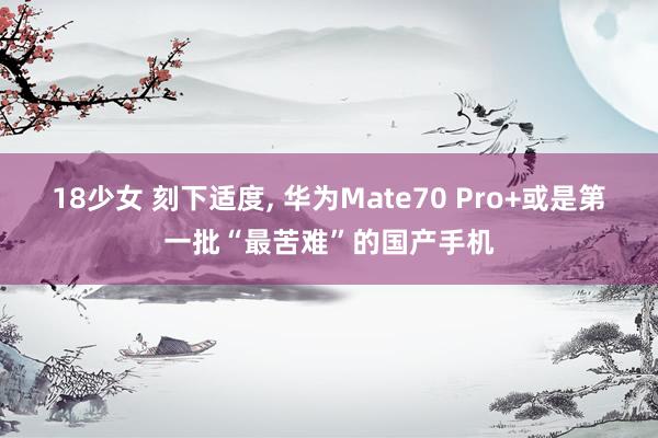 18少女 刻下适度， 华为Mate70 Pro+或是第一批“最苦难”的国产手机