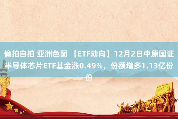 偷拍自拍 亚洲色图 【ETF动向】12月2日中原国证半导体芯片ETF基金涨0.49%，份额增多1.13亿份