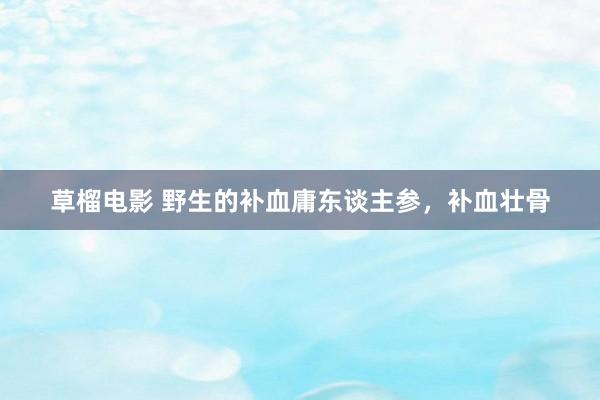 草榴电影 野生的补血庸东谈主参，补血壮骨