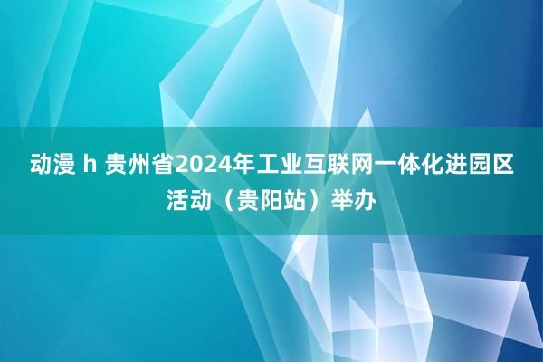 动漫 h 贵州省2024年工业互联网一体化进园区活动（贵阳站）举办