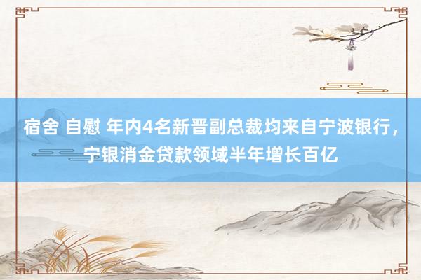 宿舍 自慰 年内4名新晋副总裁均来自宁波银行，宁银消金贷款领域半年增长百亿