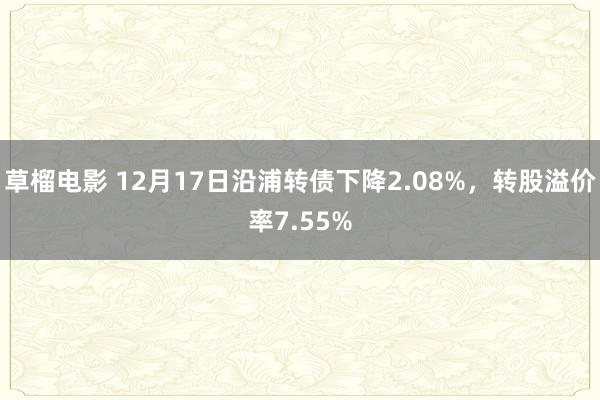 草榴电影 12月17日沿浦转债下降2.08%，转股溢价率7.55%