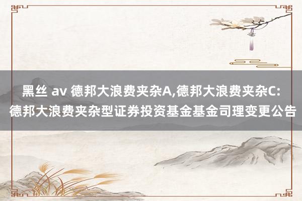 黑丝 av 德邦大浪费夹杂A，德邦大浪费夹杂C: 德邦大浪费夹杂型证券投资基金基金司理变更公告