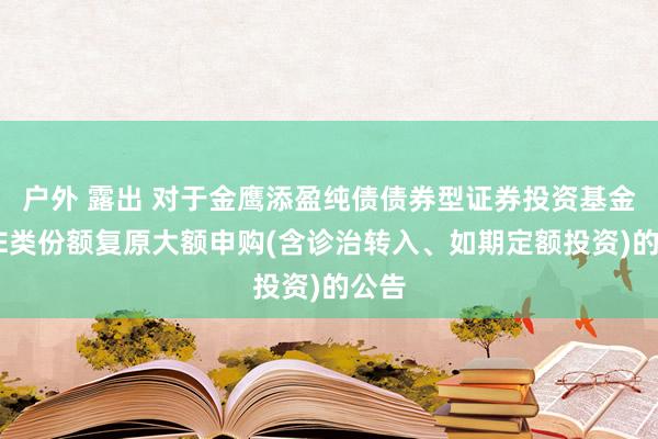 户外 露出 对于金鹰添盈纯债债券型证券投资基金D、E类份额复原大额申购(含诊治转入、如期定额投资)的公告