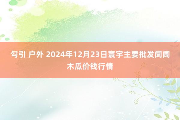 勾引 户外 2024年12月23日寰宇主要批发阛阓木瓜价钱行情