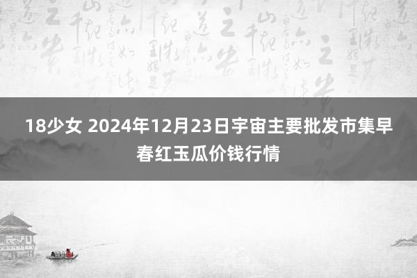 18少女 2024年12月23日宇宙主要批发市集早春红玉瓜价钱行情