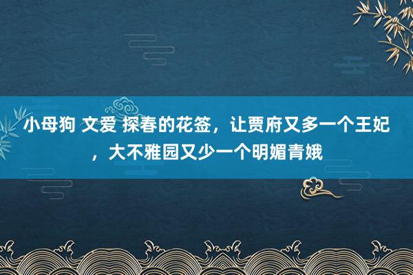 小母狗 文爱 探春的花签，让贾府又多一个王妃，大不雅园又少一个明媚青娥