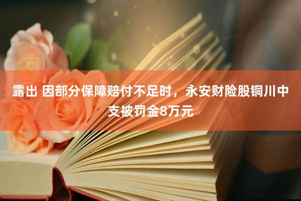 露出 因部分保障赔付不足时，永安财险股铜川中支被罚金8万元