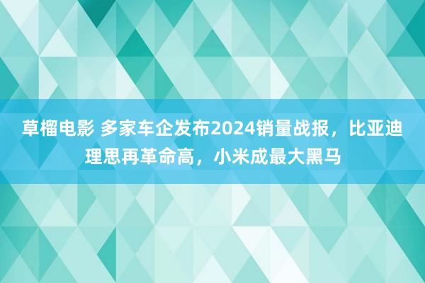 草榴电影 多家车企发布2024销量战报，比亚迪理思再革命高，小米成最大黑马