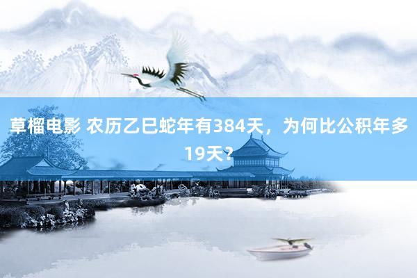 草榴电影 农历乙巳蛇年有384天，为何比公积年多19天？