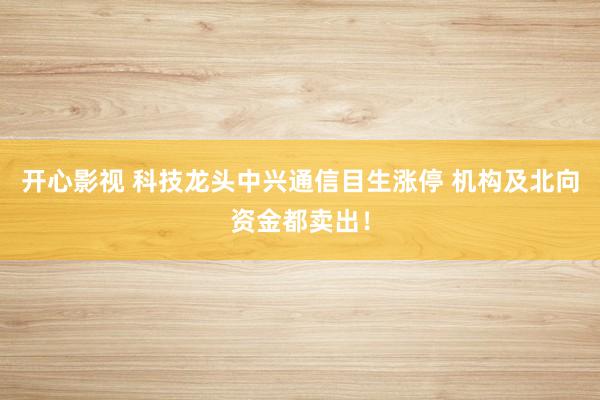 开心影视 科技龙头中兴通信目生涨停 机构及北向资金都卖出！